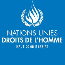 Nations Unies Droits de l'Homme